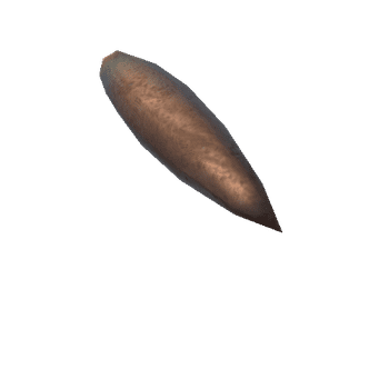 7,62 x 54 mm R Bullet_1